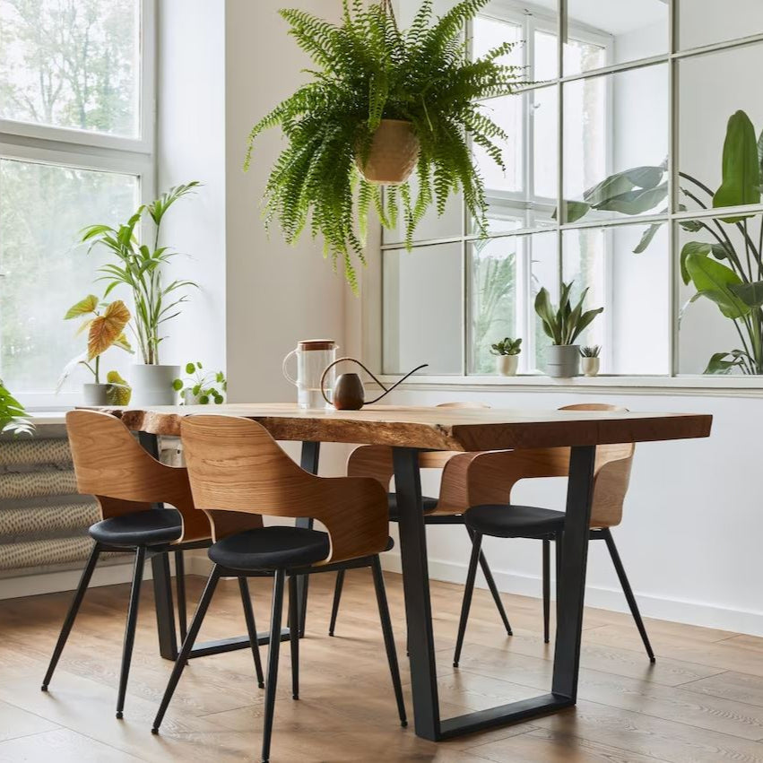 Modern Wood Dining Table - UMBUZÖ